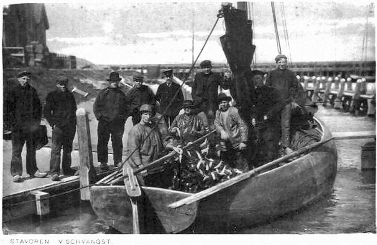 Stavoren visvangst in 1930